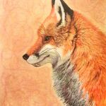 Le Renard par Maman Aigle