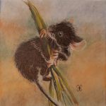 Souris des champs par Maman Aigle