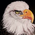 Eagle par Maman Aigle