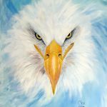 Aigle Pygargue par Maman Aigle