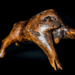 Bison