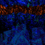 Rêve minéral-II par JEAN-LUC LABRETTE