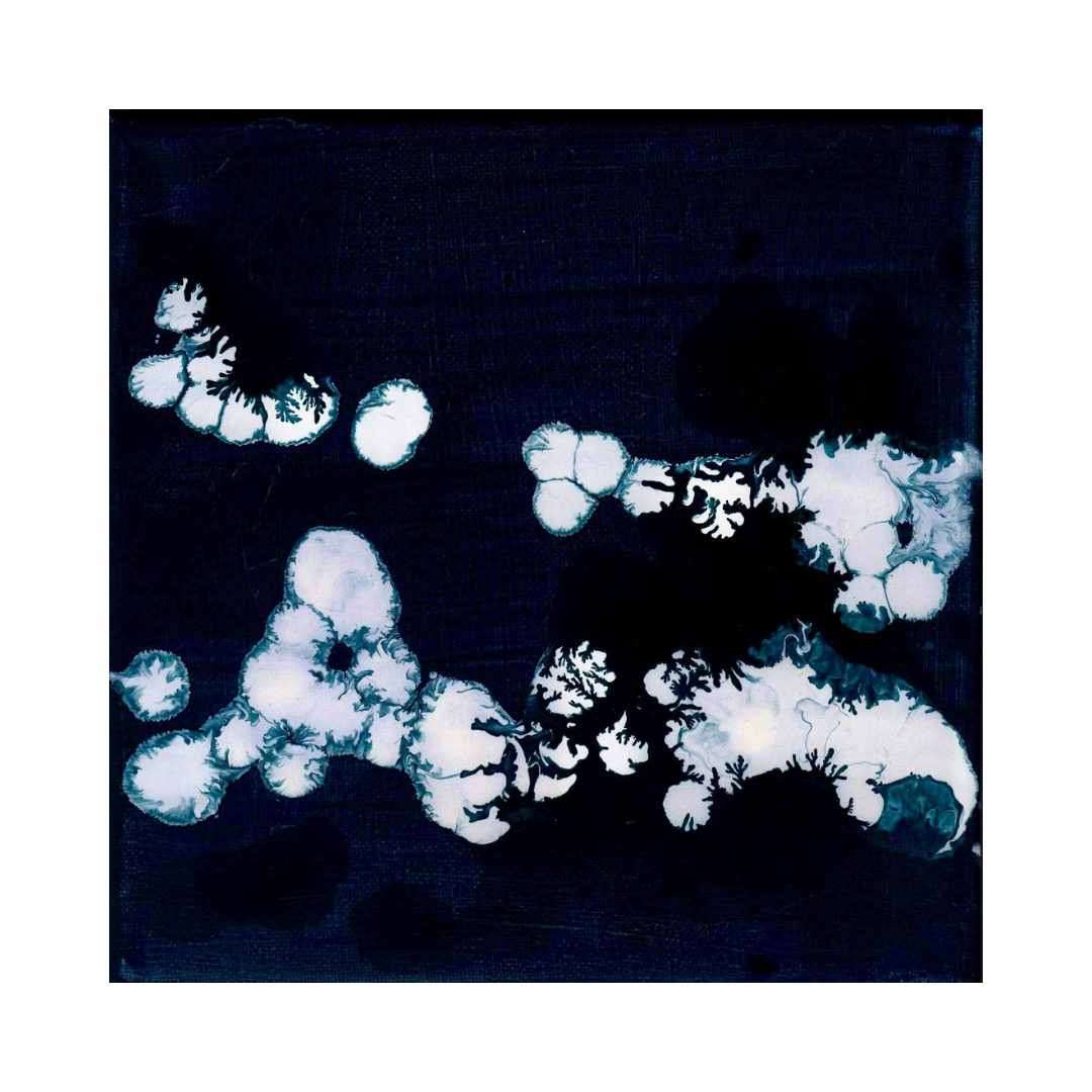 petit-format-4
