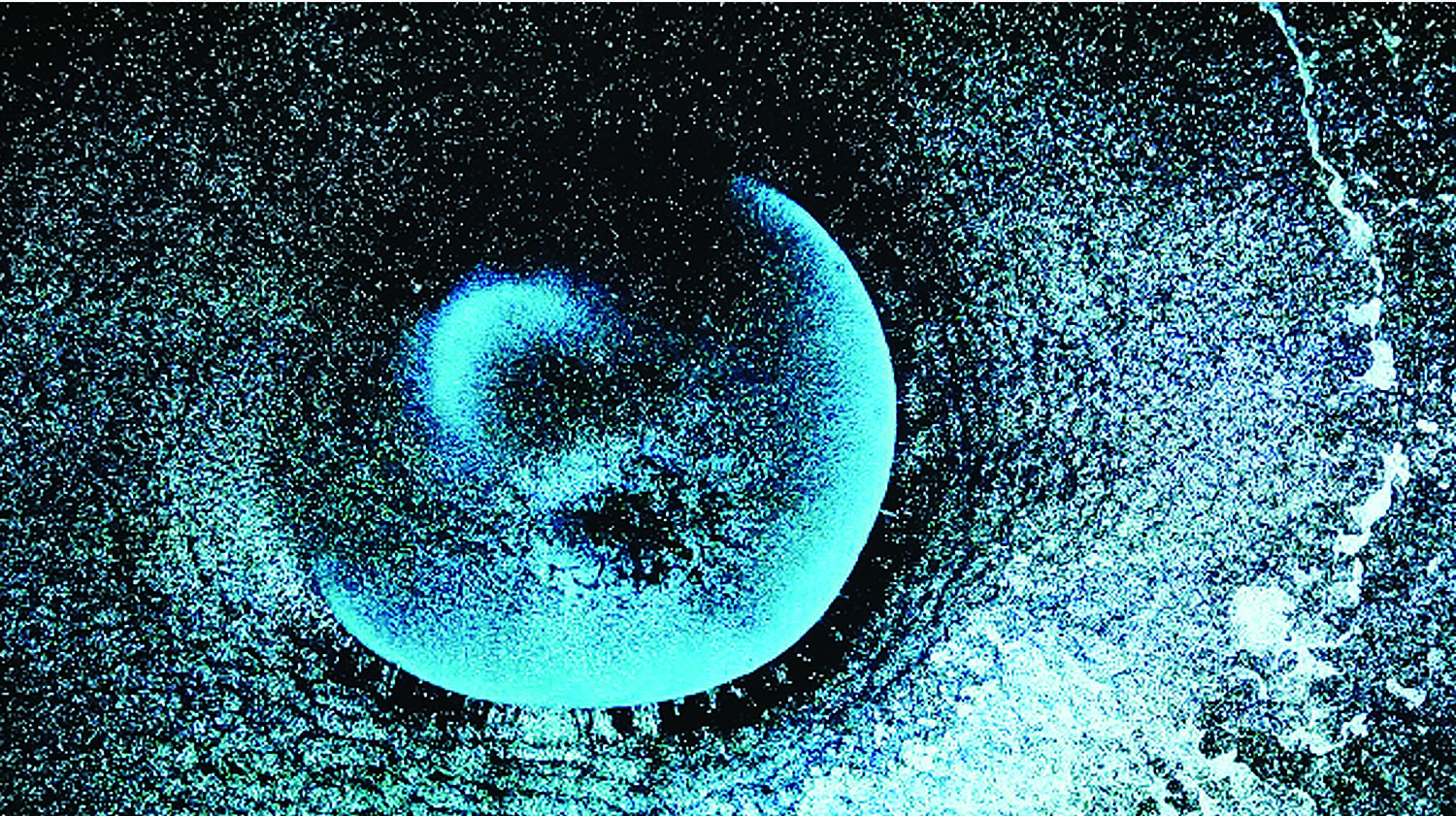 enharmonique-i-photo-extraite-dune-partie-de-la-video