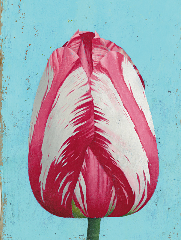 hyacinthe-et-roseacrylique-sur-papier