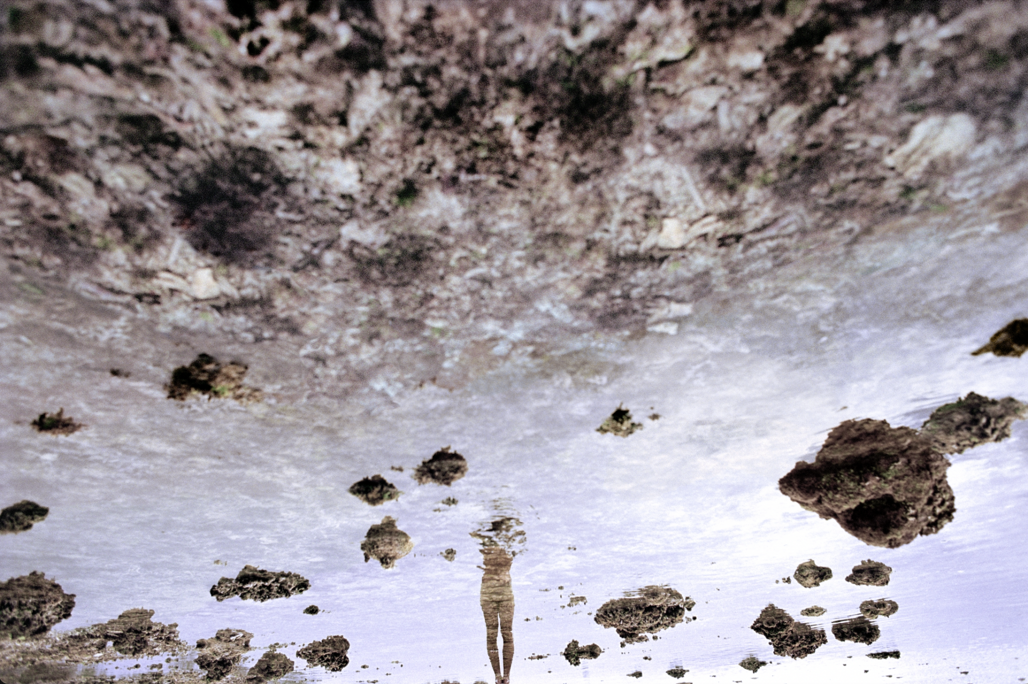 migration-13