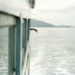 Migration