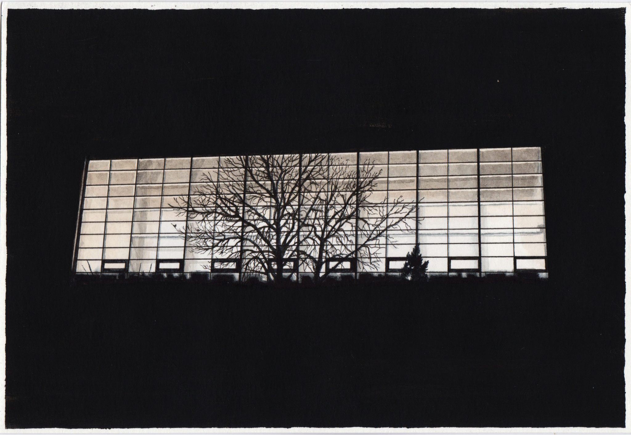 la-nuit-3