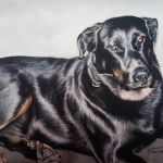 Portrait de chien