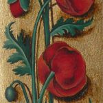 Coquelicot
