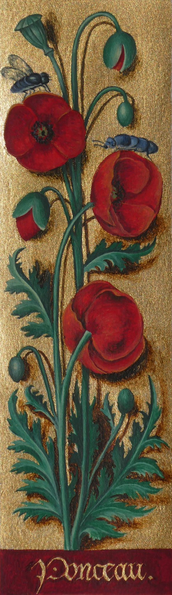 coquelicot-4