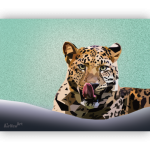 Comme une petite faim - Création digitale polygonale