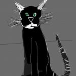Pissed off cat