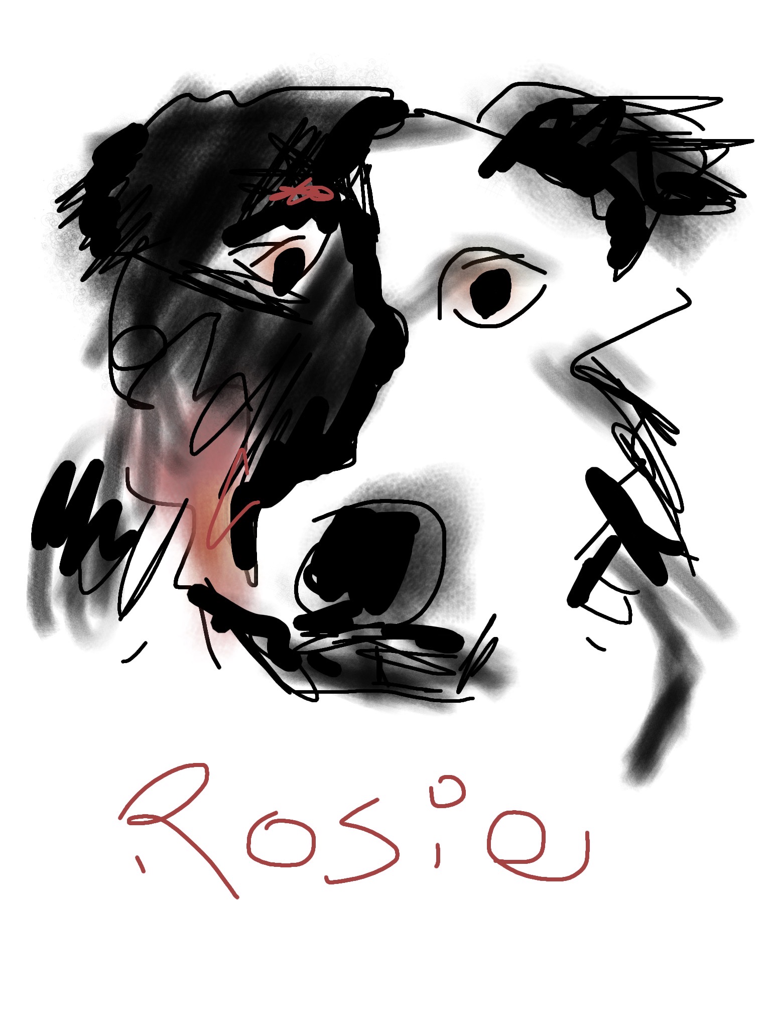 rosie-3