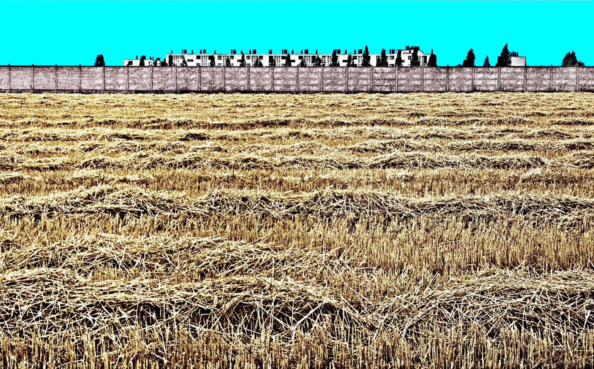 champ-de-ble-moissonne-et-mur