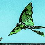 Sirène et grenouille volante