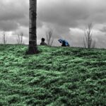 Le parapluie bleu
