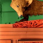 Renard sur une armoire