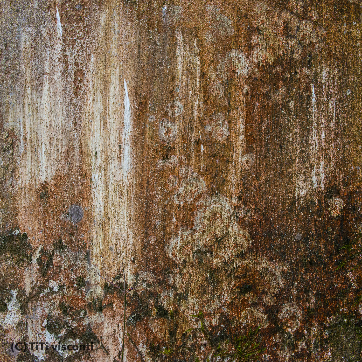 14mar2015-15h40-aigrefeuille-daunis-hopital-militaire-titivisconti