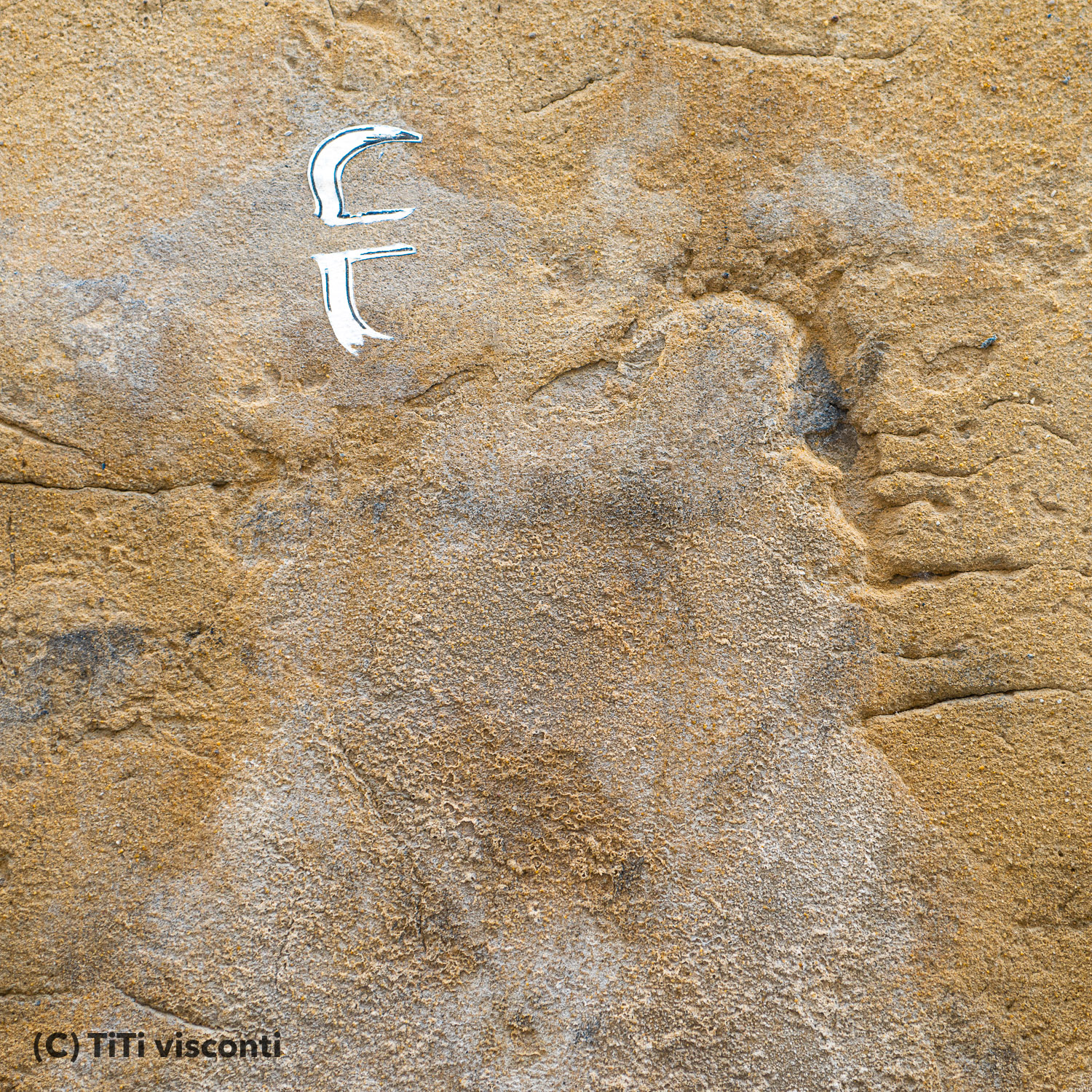24-mars-2014-14h32-angouleme-titivisconti-2