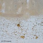 31mars2014-16H51-paris-courslareine-titivisconti-2