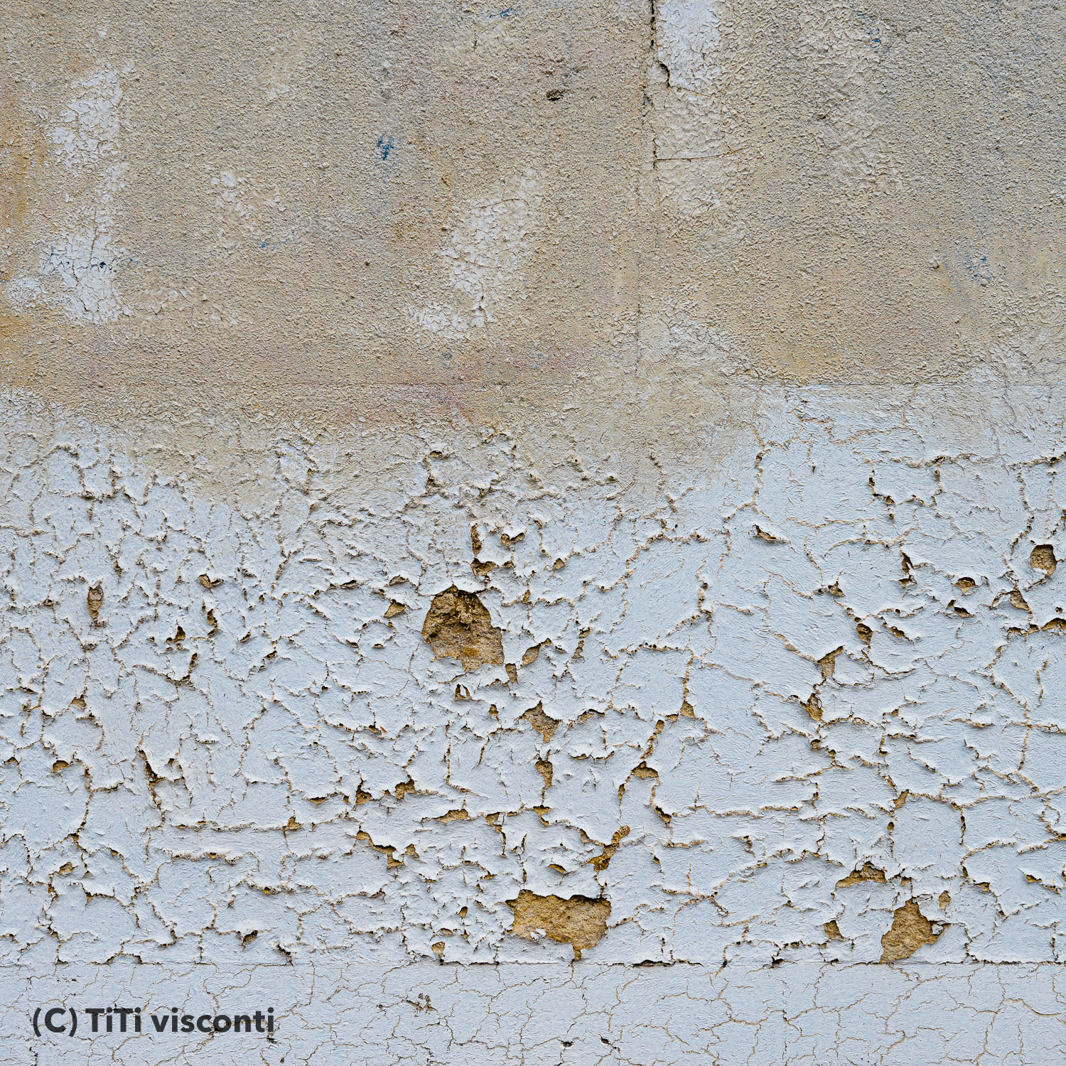 31mars2014-16h51-paris-courslareine-titivisconti-2
