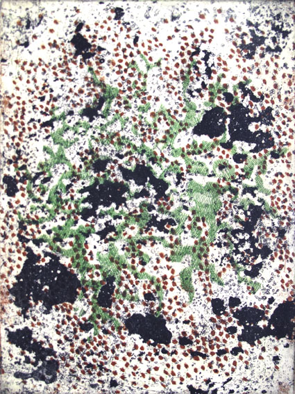 lichens-3