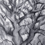 À travers les branches par Frédérique Mussat