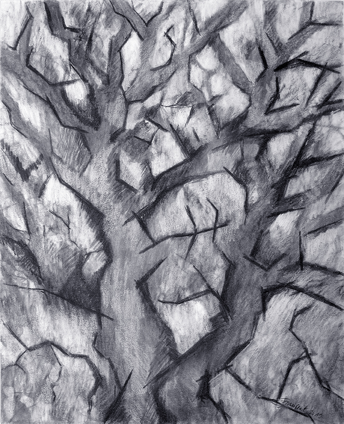 a-travers-les-branches