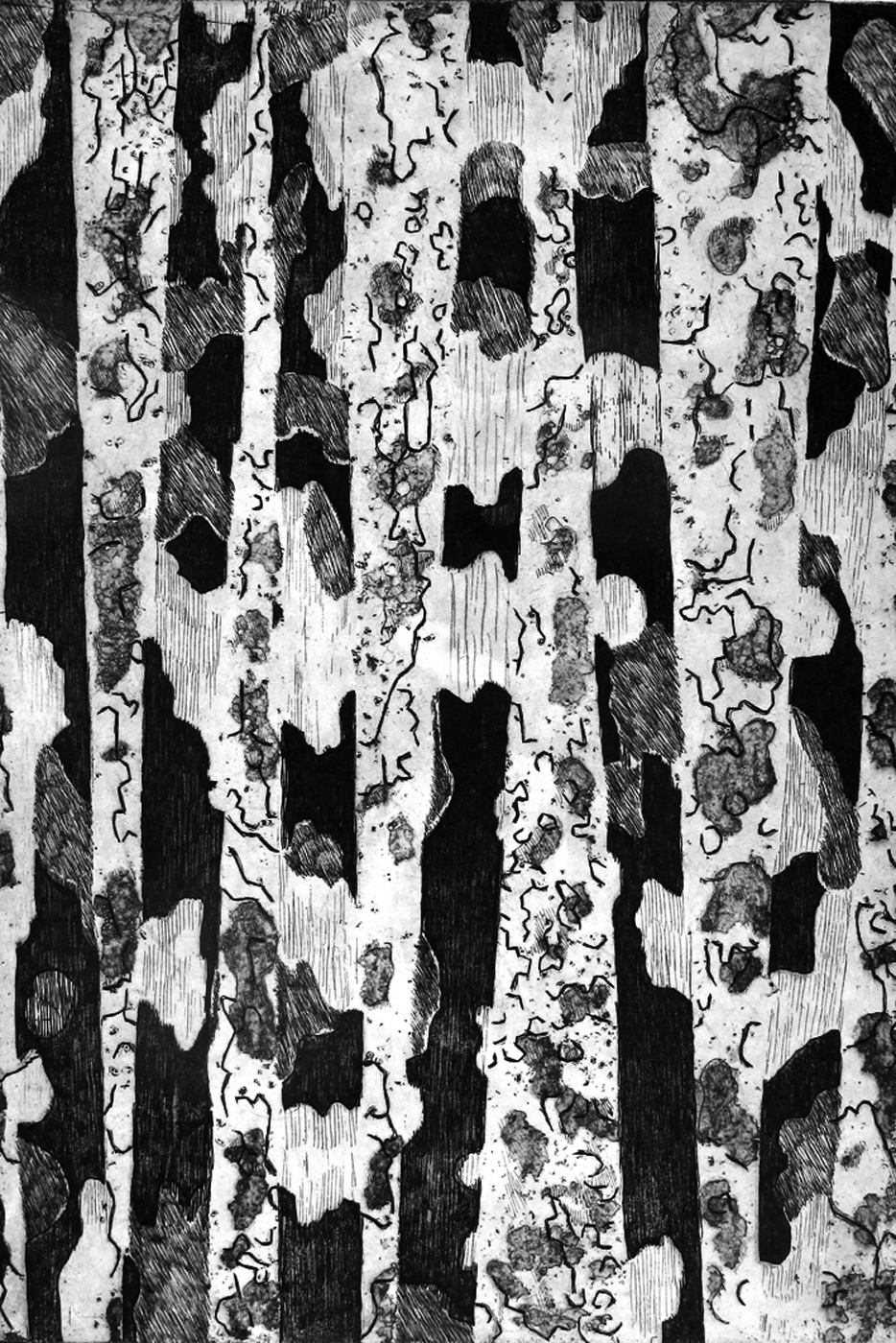 foret-6