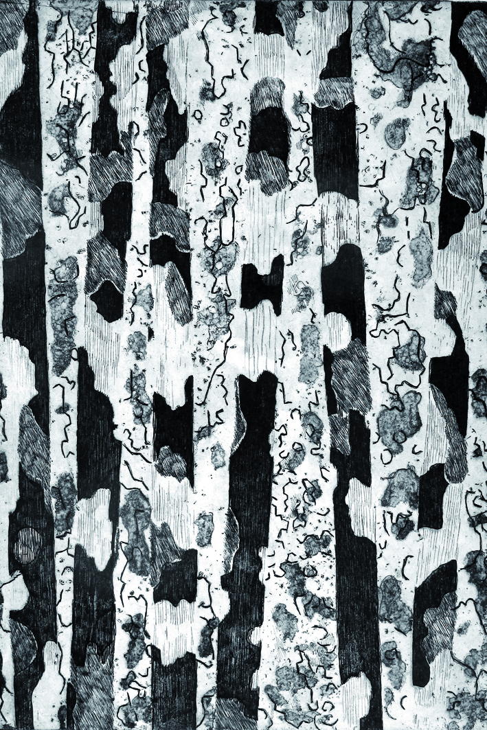 foret-5