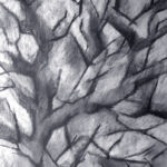 À travers les branches par Frédérique Mussat