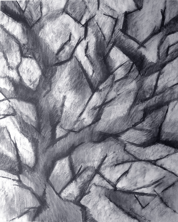 a-travers-les-branches-2