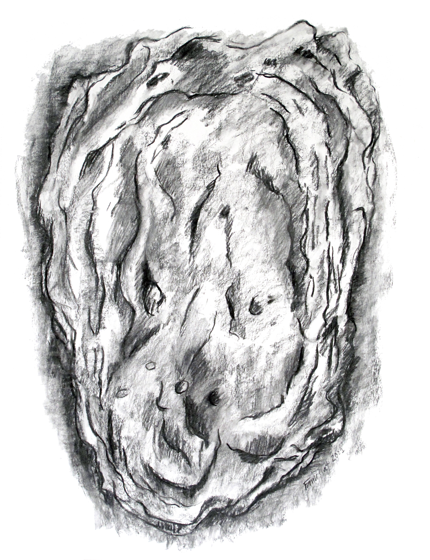 grande-huitre-1