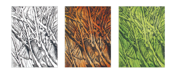 branches-sous-la-neige