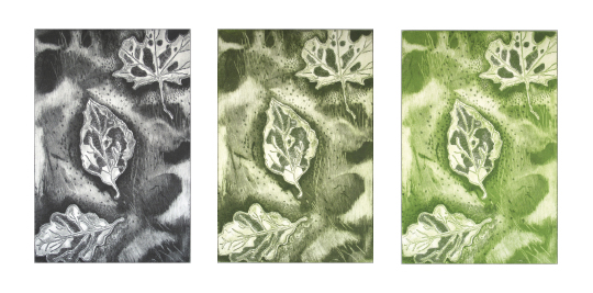 feuilles-a-la-derive-2