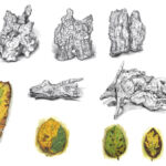 PlancheMorceauxNature-1