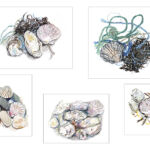 Maritime - Morceaux de nature par Frédérique Mussat
