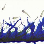 Grosses tempêtes