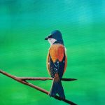 L\'observateur