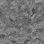 Cercles