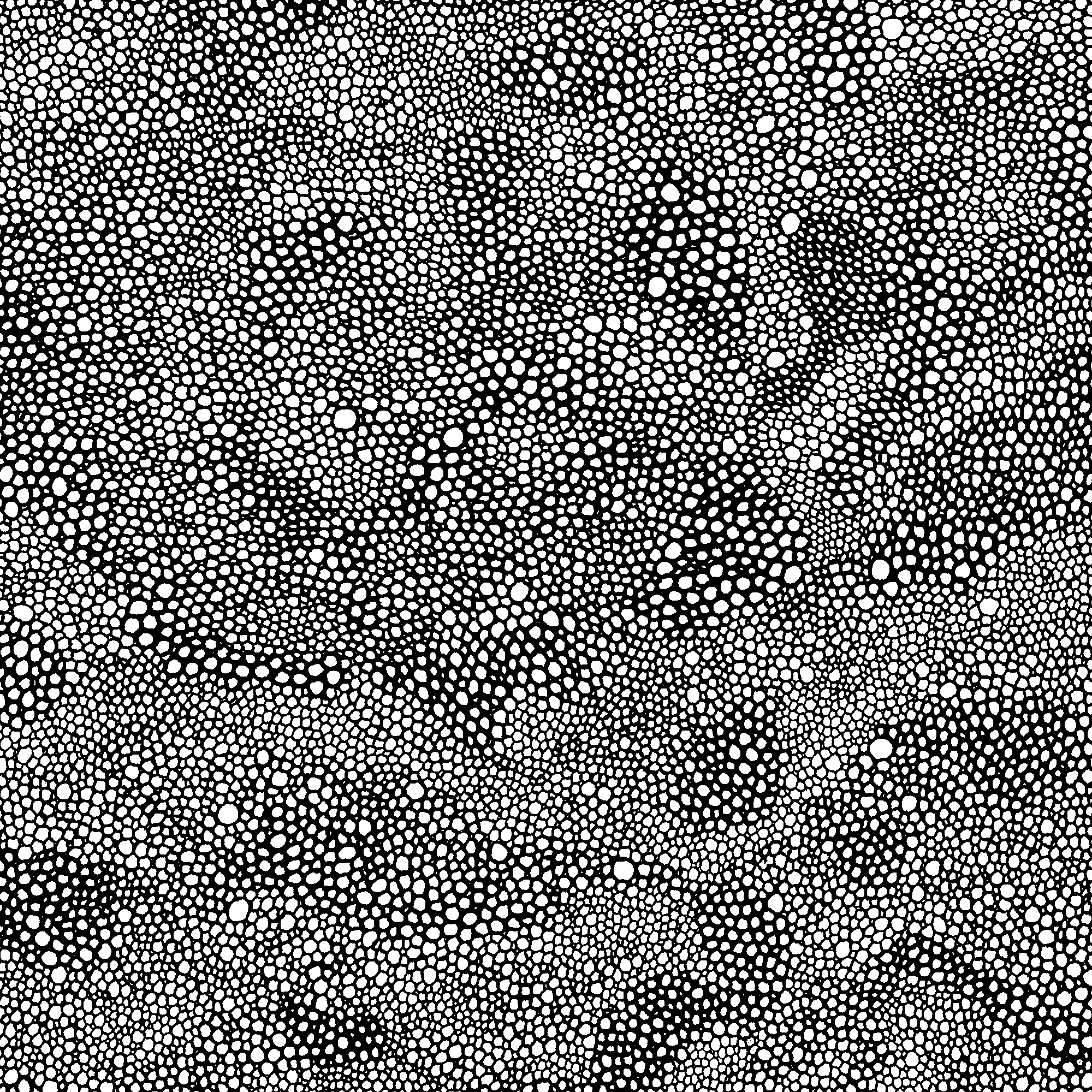 cercles-2