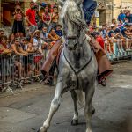 Un maître cavalier