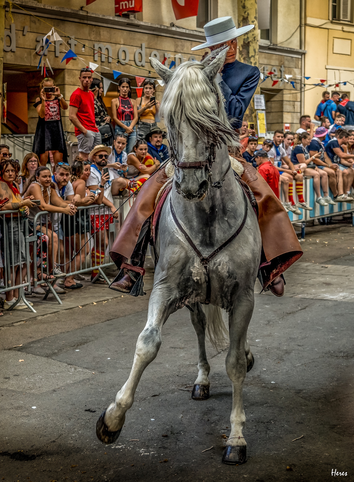un-maitre-cavalier