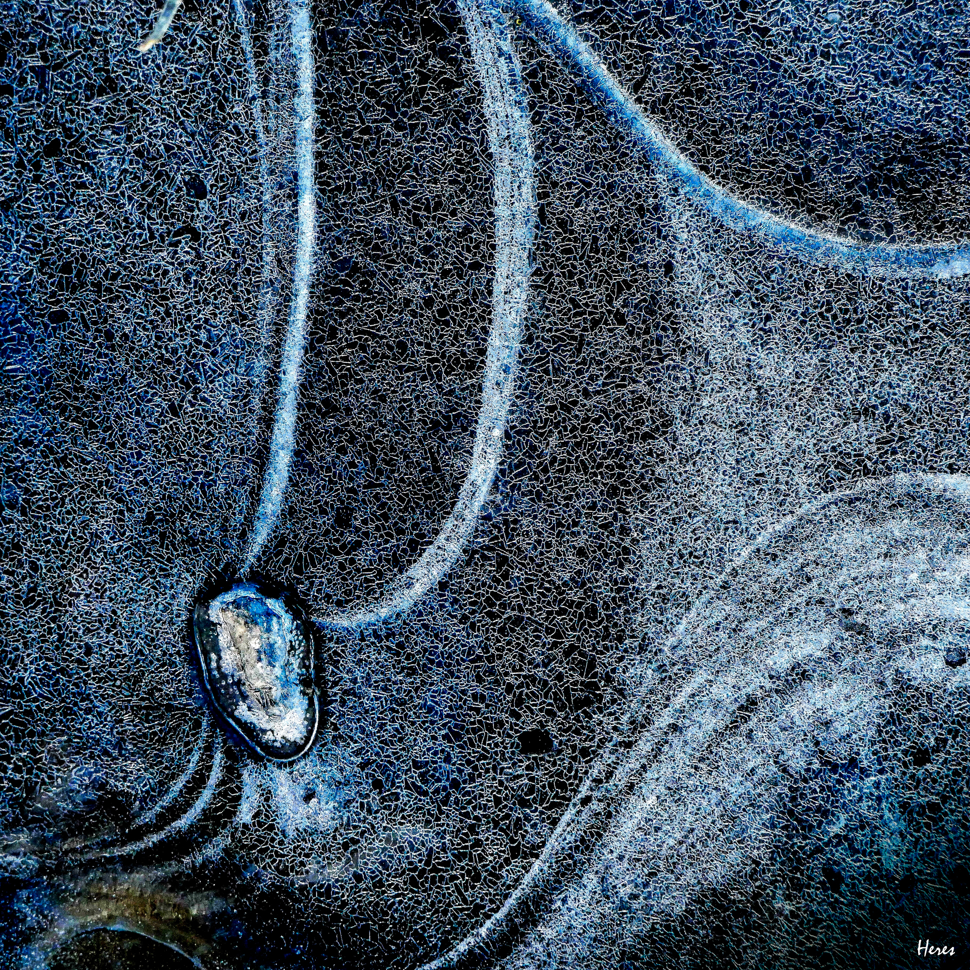 cosme-07