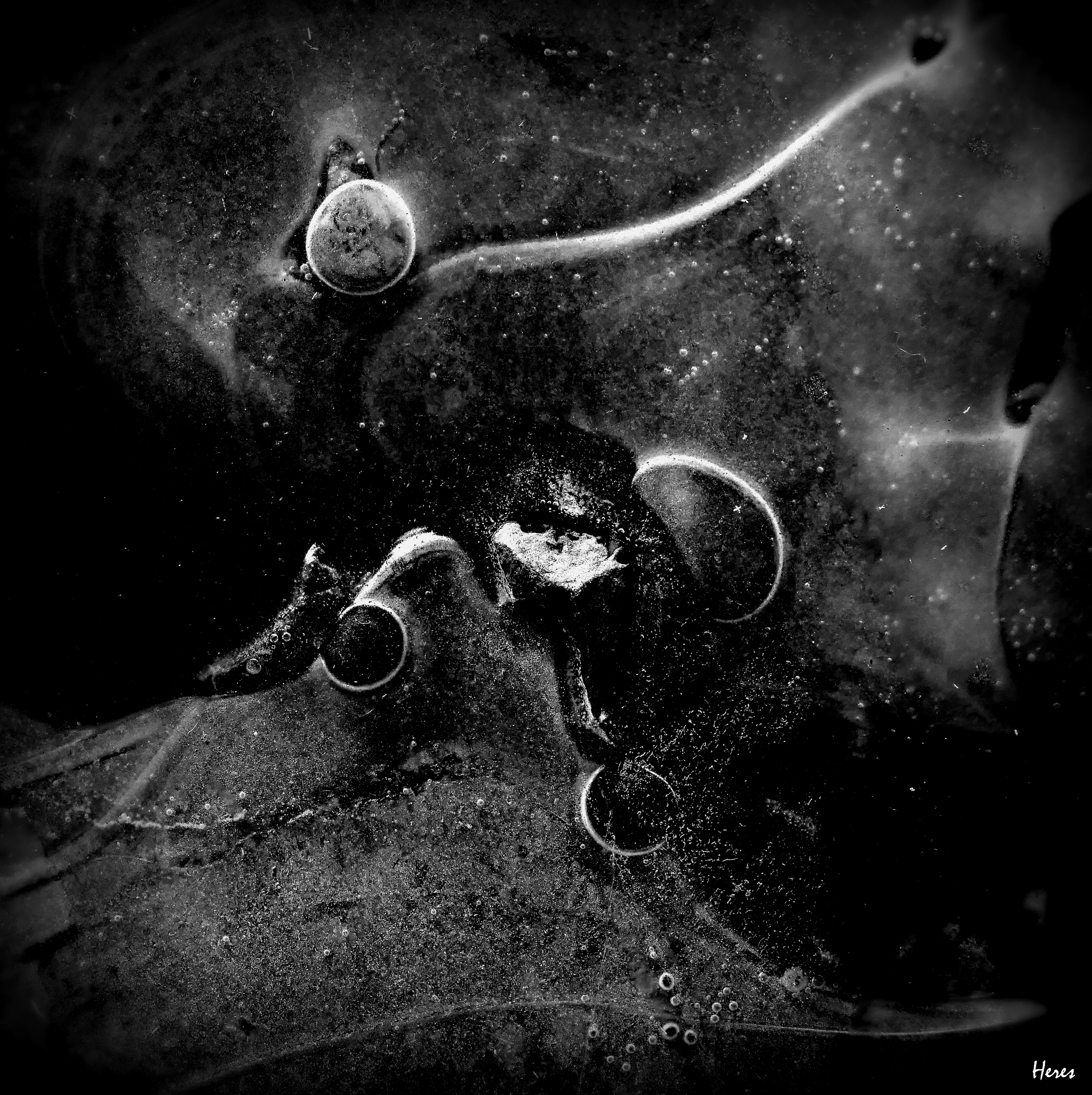 cosme-71