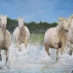 Chevaux Camarguais par John REGNIER