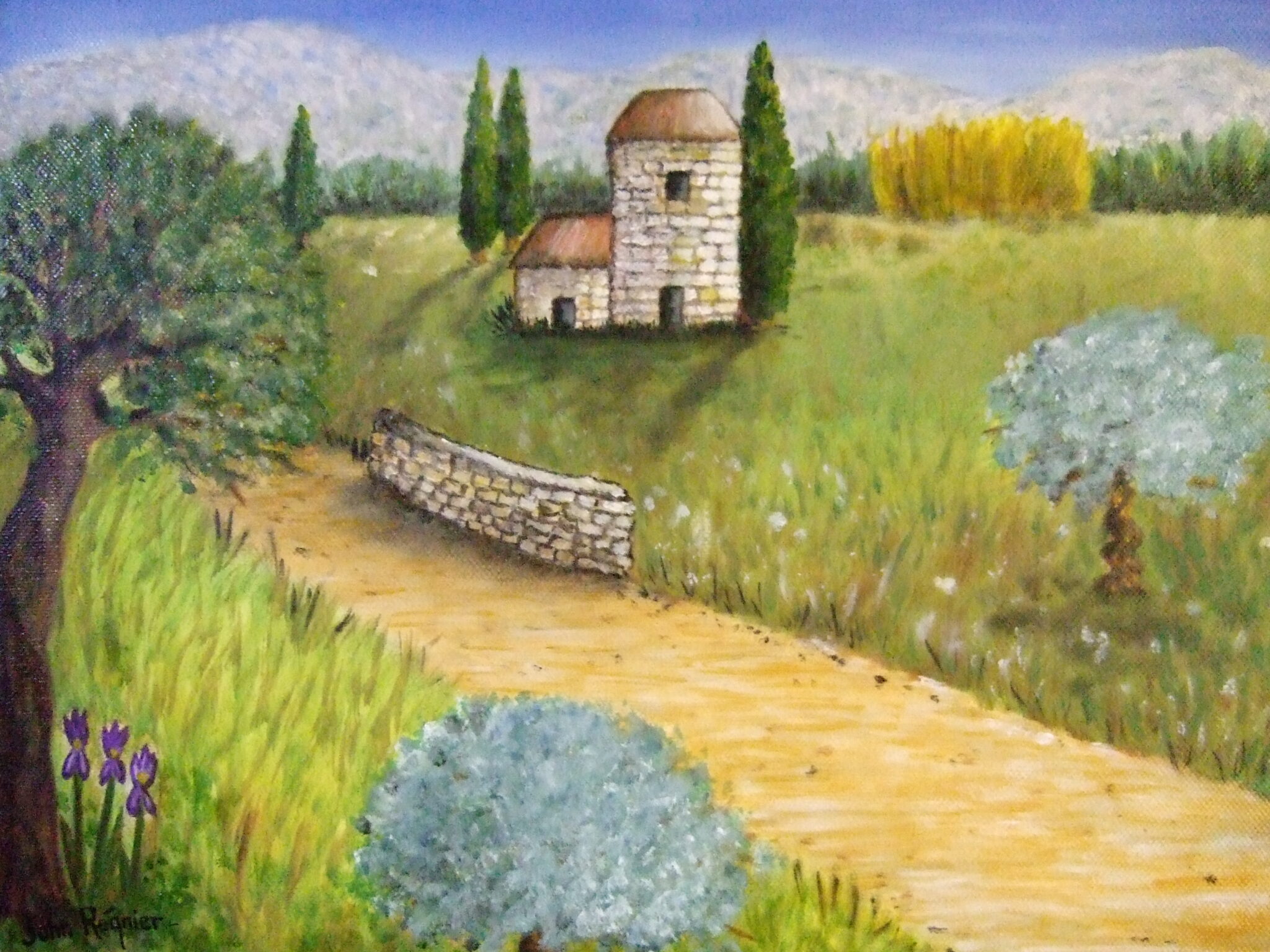 campagne-provencale-2