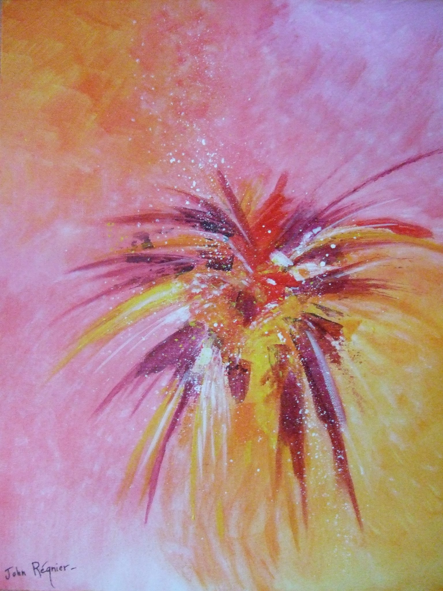 feu-dartifice-floral