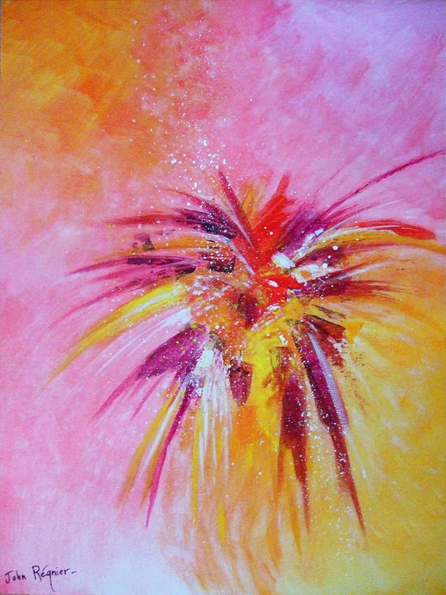 feu-dartifice-floral-2